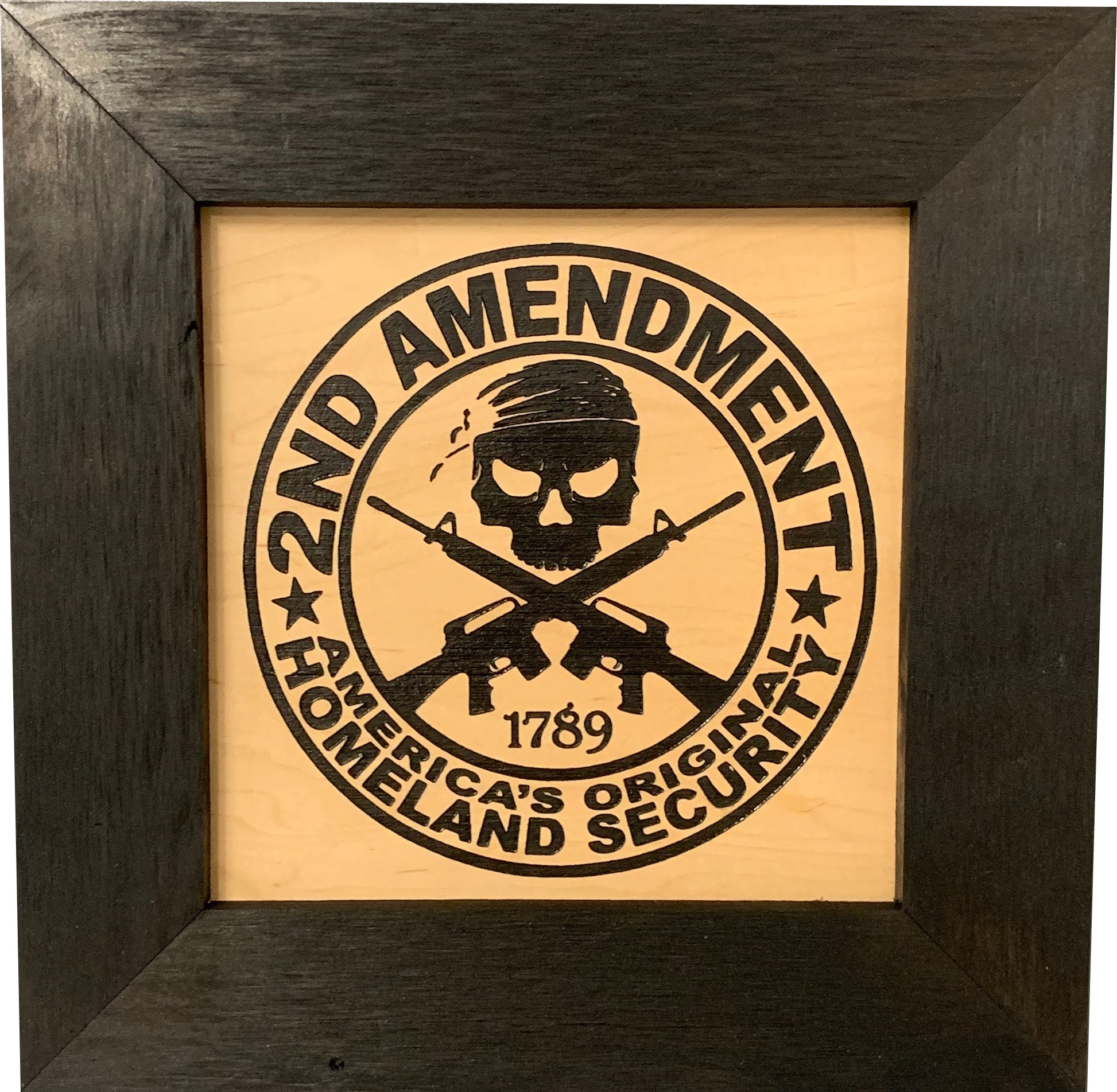 Second Amendment Hidden Gun Safe, 2nd Amendment Skull Concealment Shelf-Bluelinescg Safety and Security Products and Services