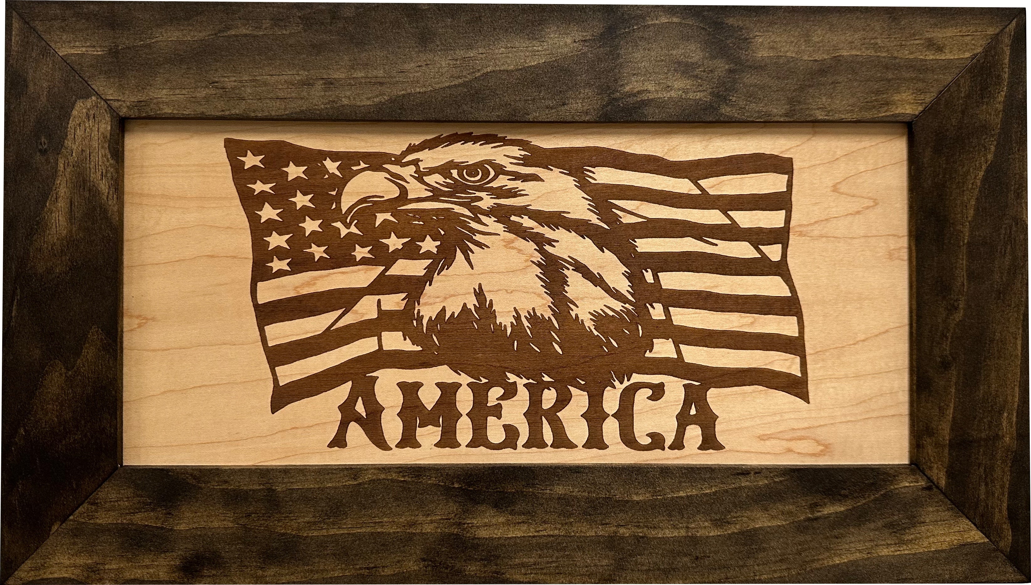 American Flag with Bald Eagle Patriotic Decorative Wall-Mounted Secure Gun Cabinet-Bluelinescg Safety and Security Products and Services