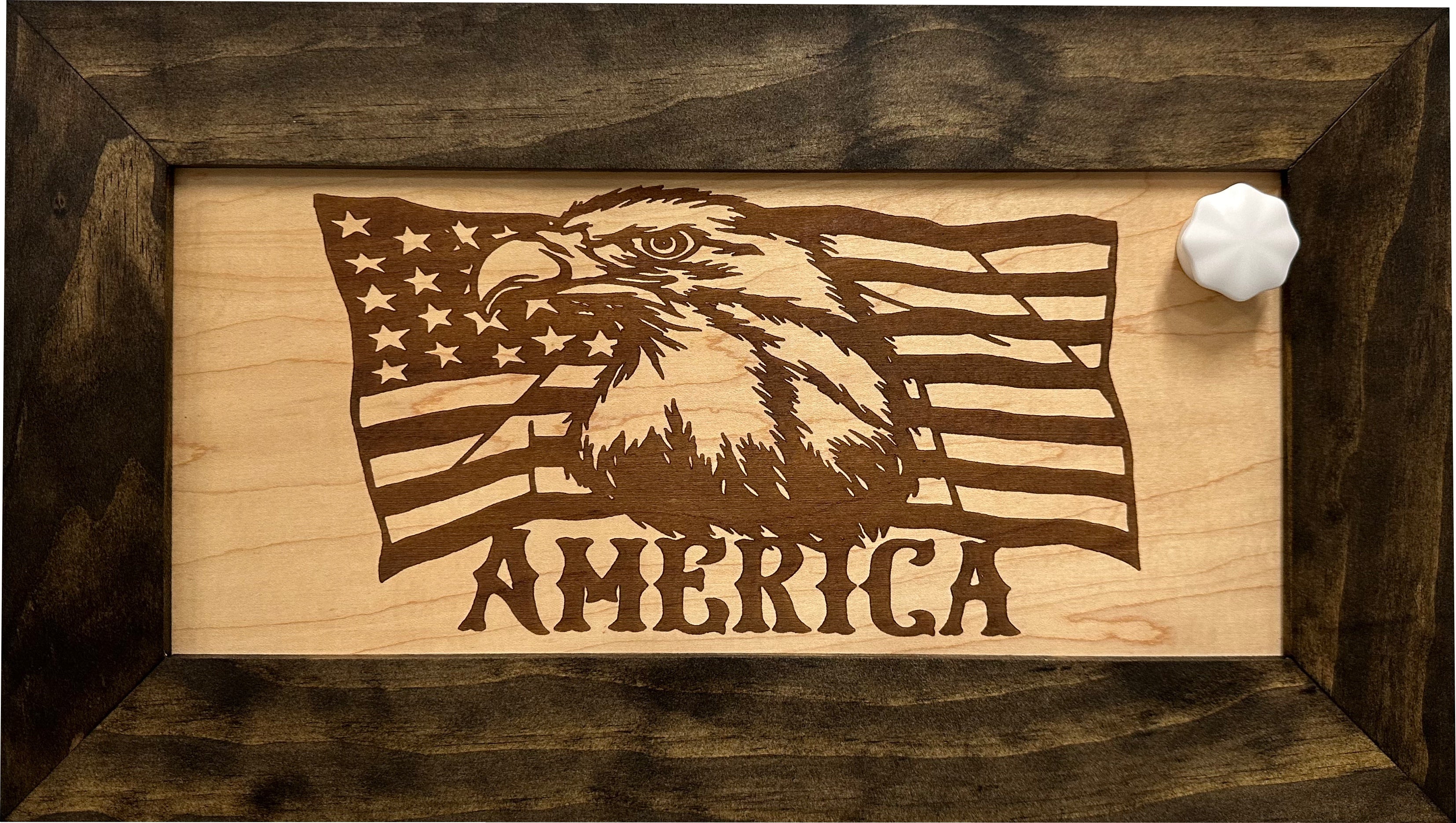 American Flag with Bald Eagle Patriotic Decorative Wall-Mounted Secure Gun Cabinet-Bluelinescg Safety and Security Products and Services
