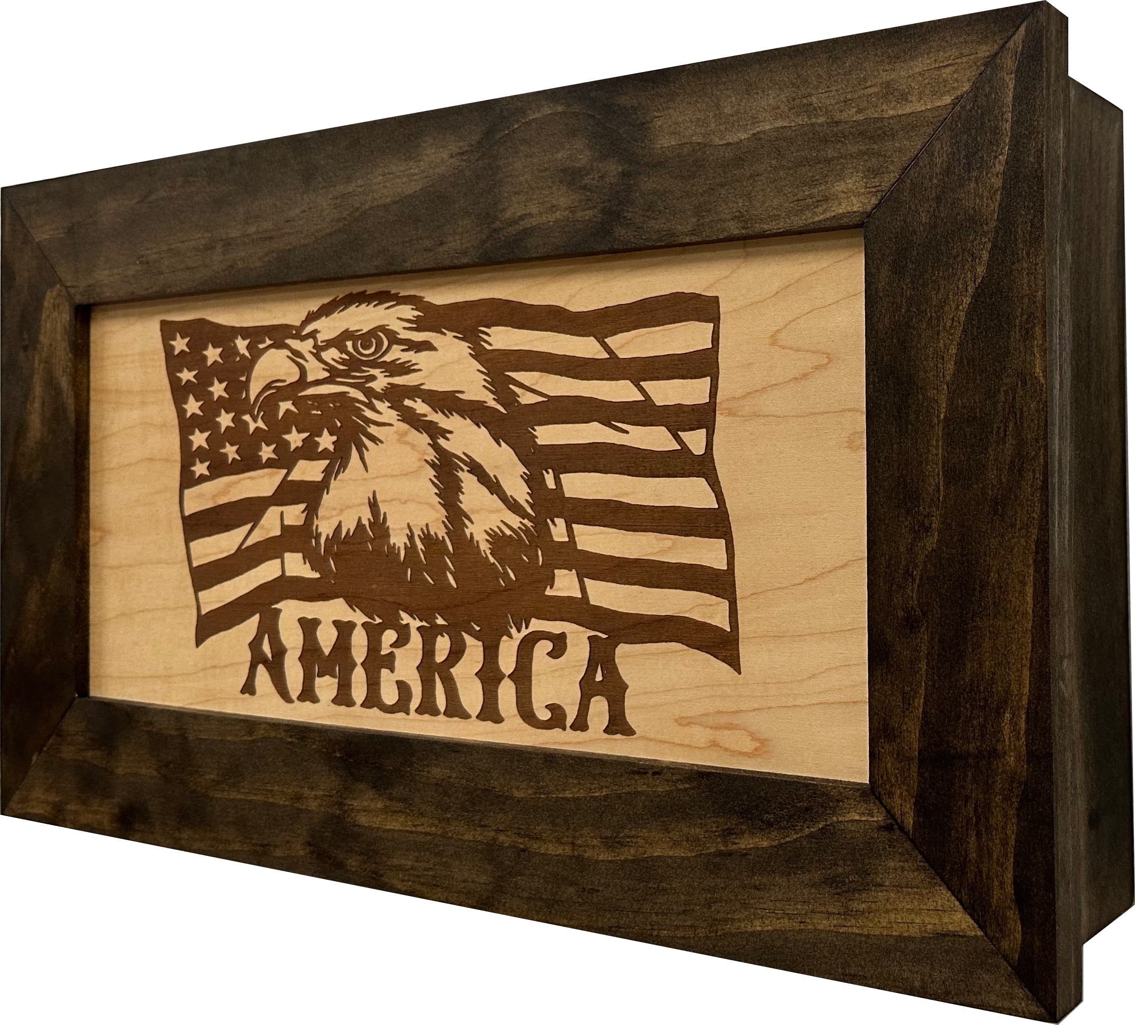 American Flag with Bald Eagle Patriotic Decorative Wall-Mounted Secure Gun Cabinet-Bluelinescg Safety and Security Products and Services